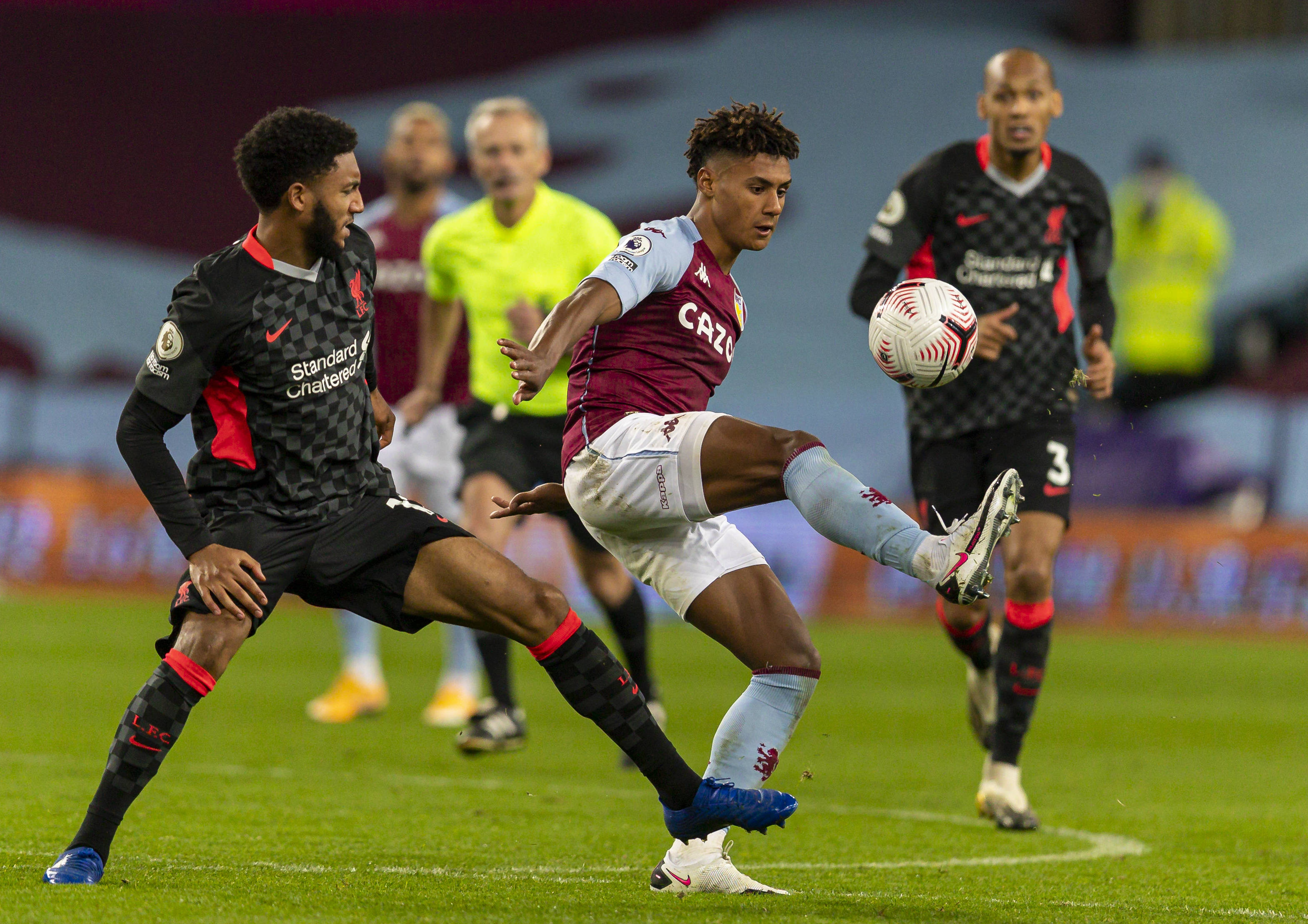 培养上的成 培养上的成